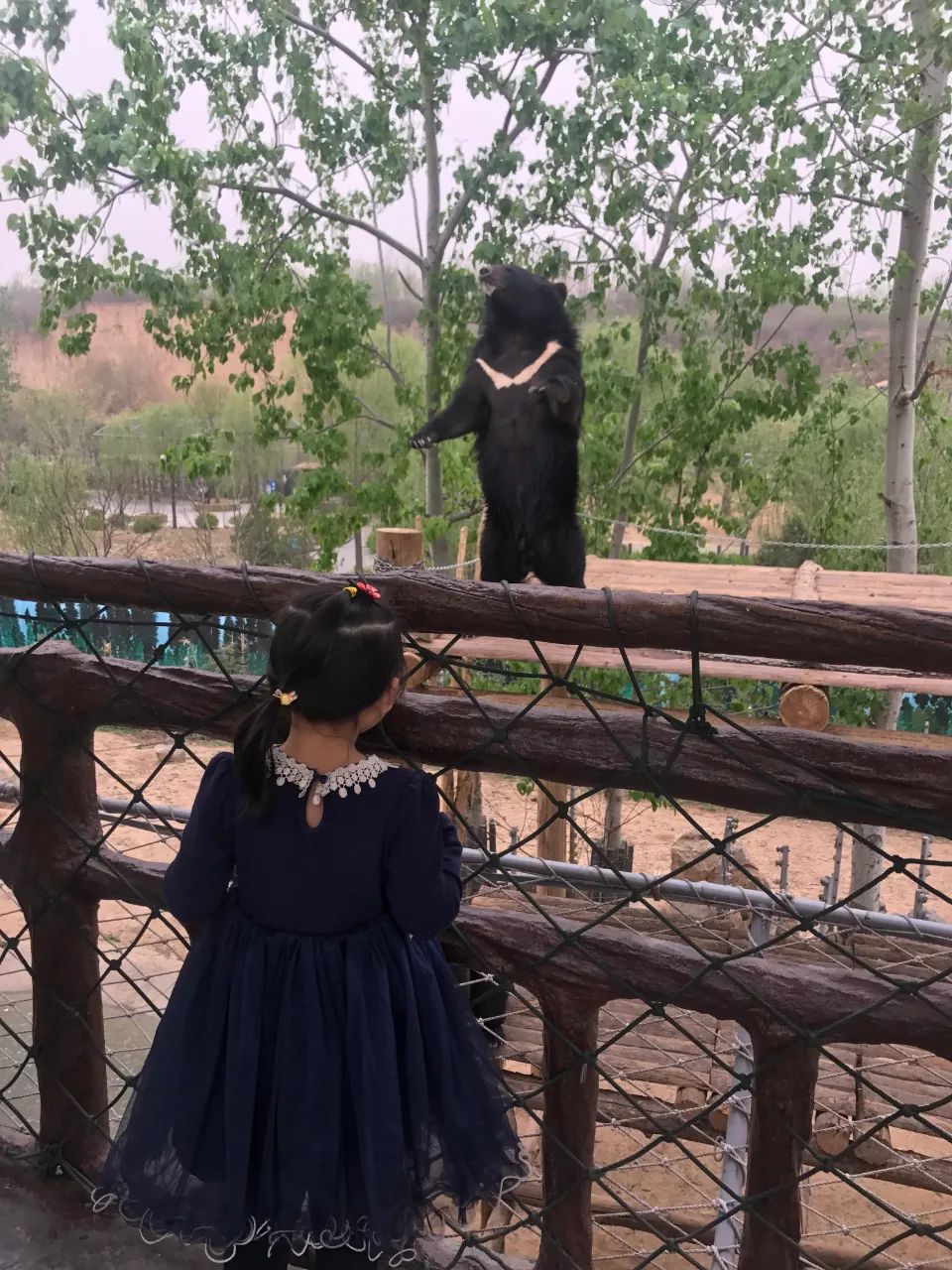 济南适合带娃去的公园,济南适合遛娃的景区