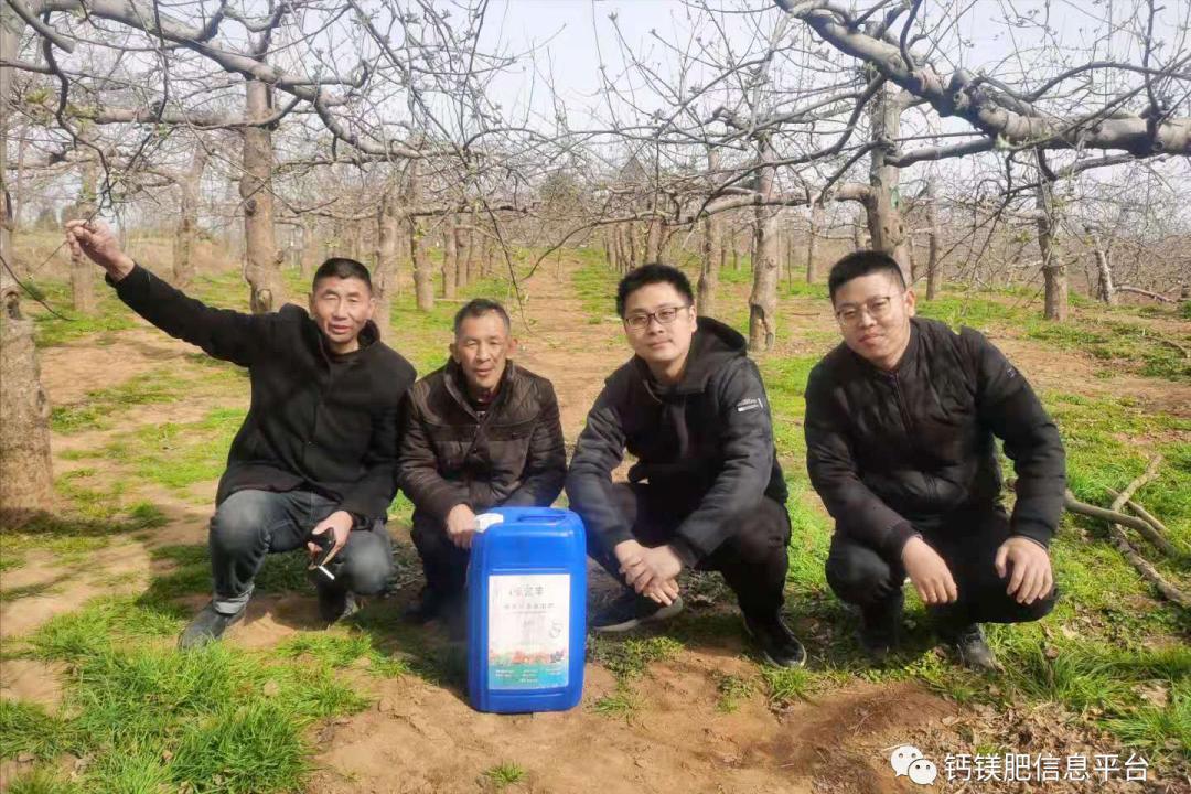 2021河南灵宝苹果硝基钙镁液体肥试验示范开启