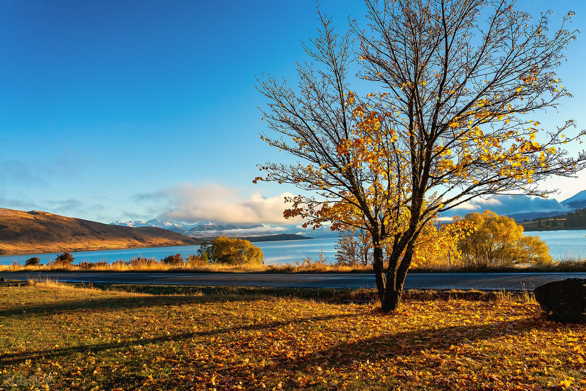 十本入坑网文,四本完结多年依旧无法超越的网文