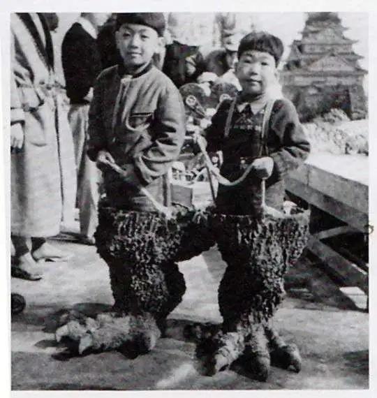 67年了，他还是干架圈唯一顶流！宇宙无敌大哥总