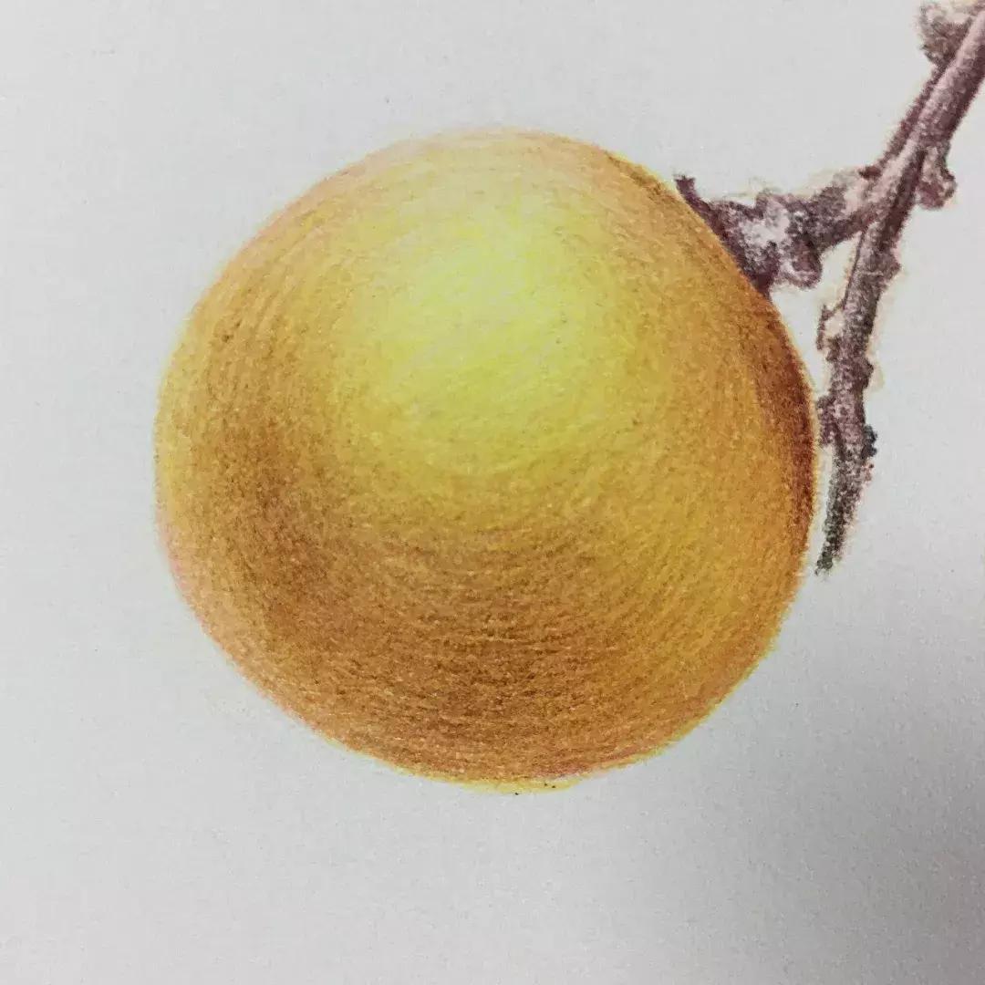 彩铅龙眼,龙眼怎么画彩铅