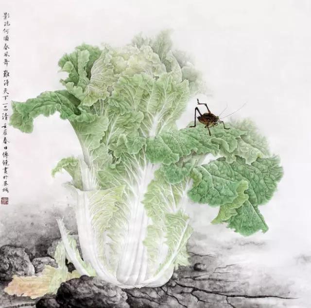 画白菜技法,3d白菜画