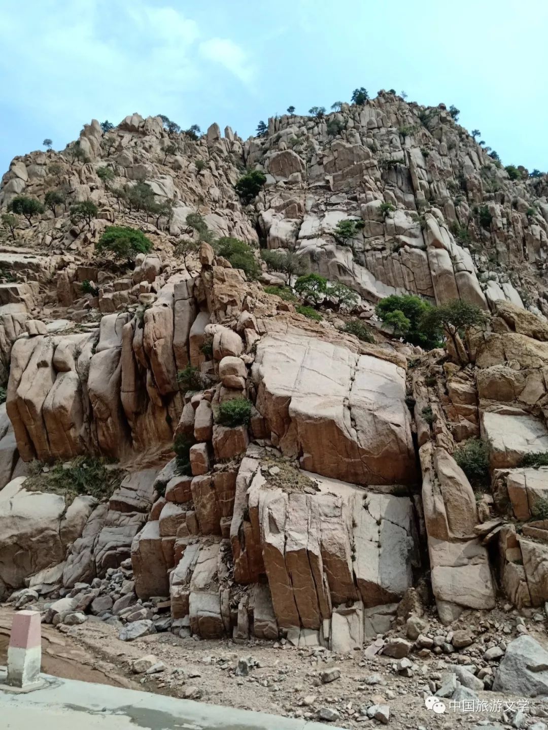 乌拉山大桦北,乌拉山大华北羊肉