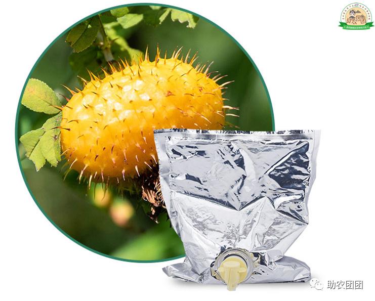 助农团团所有视频,贵州助农团团最新视频