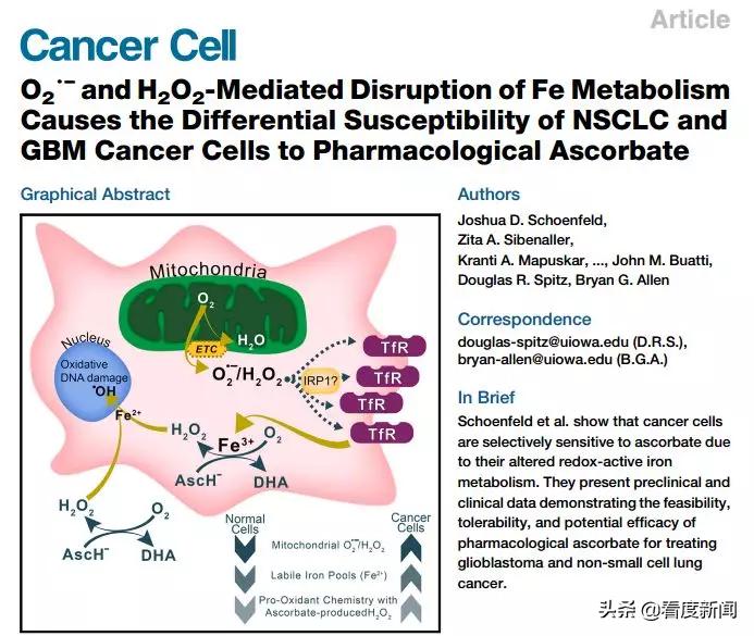 维生素C治疗新冠肺炎有用吗？日常补充维C该怎么补？