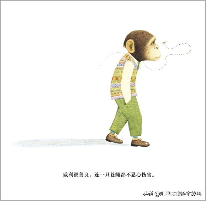 安东尼布朗儿童绘本合集,安东尼布朗出品的绘本有哪些