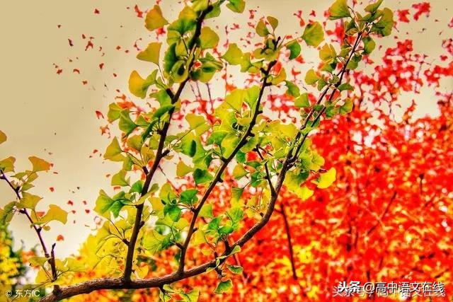 古诗词鉴赏之常用十种方法,古诗鉴赏艺术手法是哪些