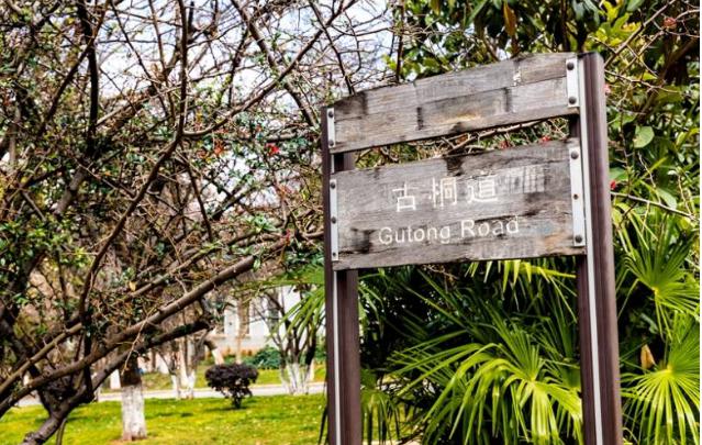 再见了网易云,再见了大美云县