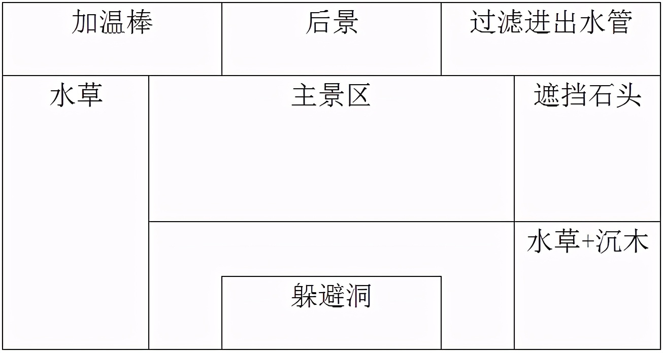 新手养鱼怎么入手？350元，开启养鱼之旅，新手小白开缸记