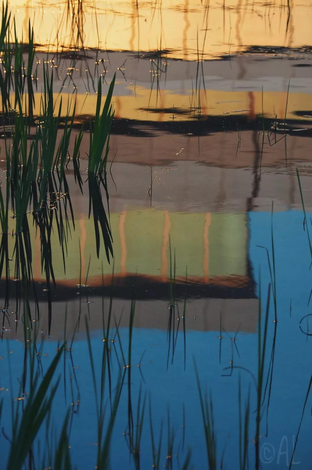 昆山杜克大学简介,江苏昆山杜克大学硕士