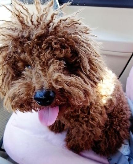 做好这五件事才能做得更好,做好这5件事让你快乐起来