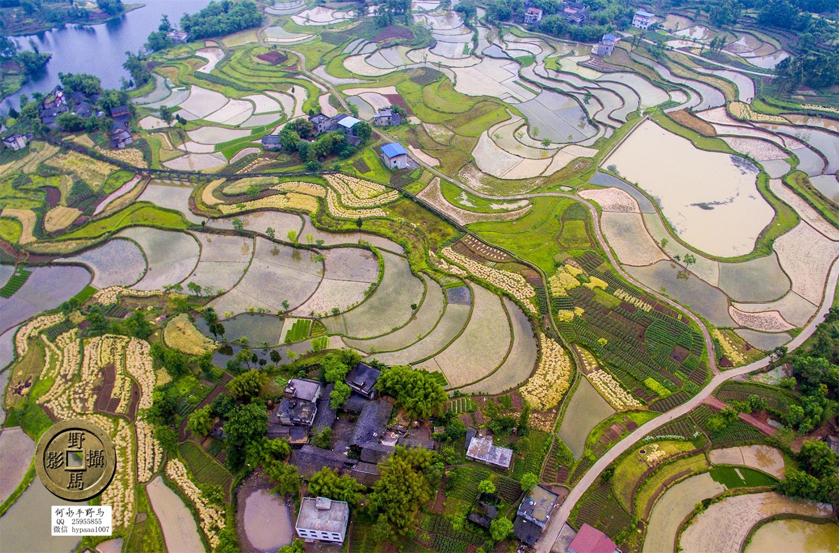 广安撤县名单查询,70年广安县有多少个人民公社