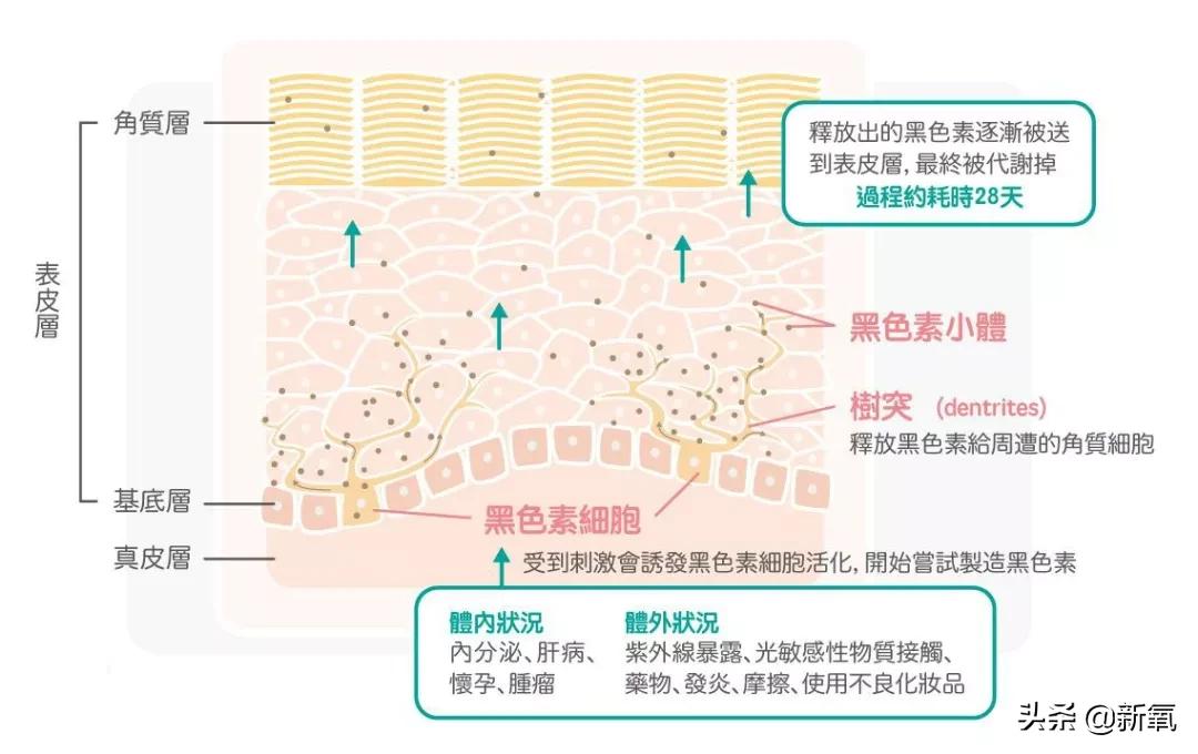 吴昕素颜真的很漂亮吗,吴昕为什么这么频繁上热搜