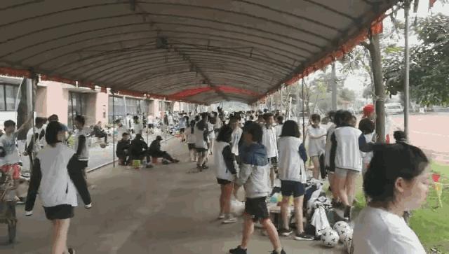 广东中山坦洲中考成绩公布时间,2019坦洲镇中考分数