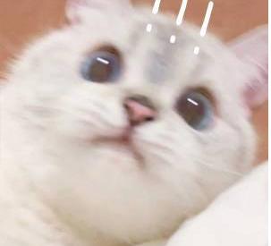 剑三萌新可以入坑吗,剑三满级后该怎么玩