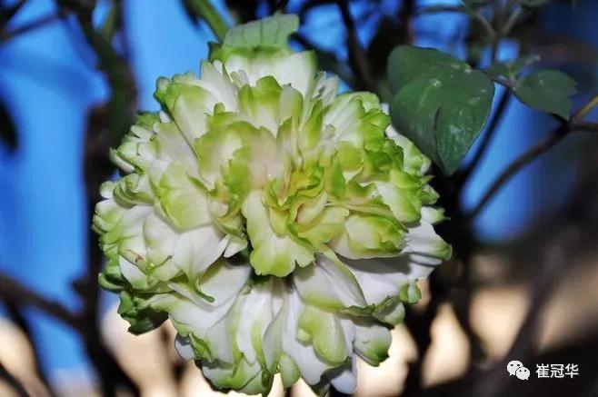 欧阳修袁枚,韩愈袁枚和欧阳修