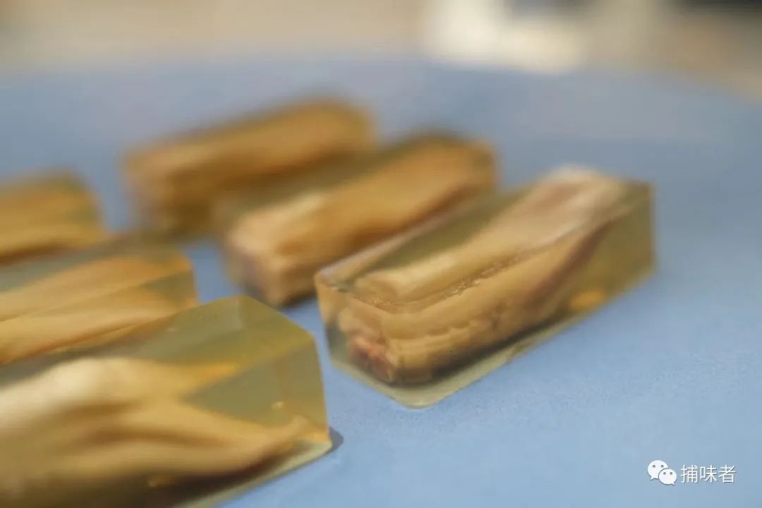 夏日鸭舌冻（软文版）