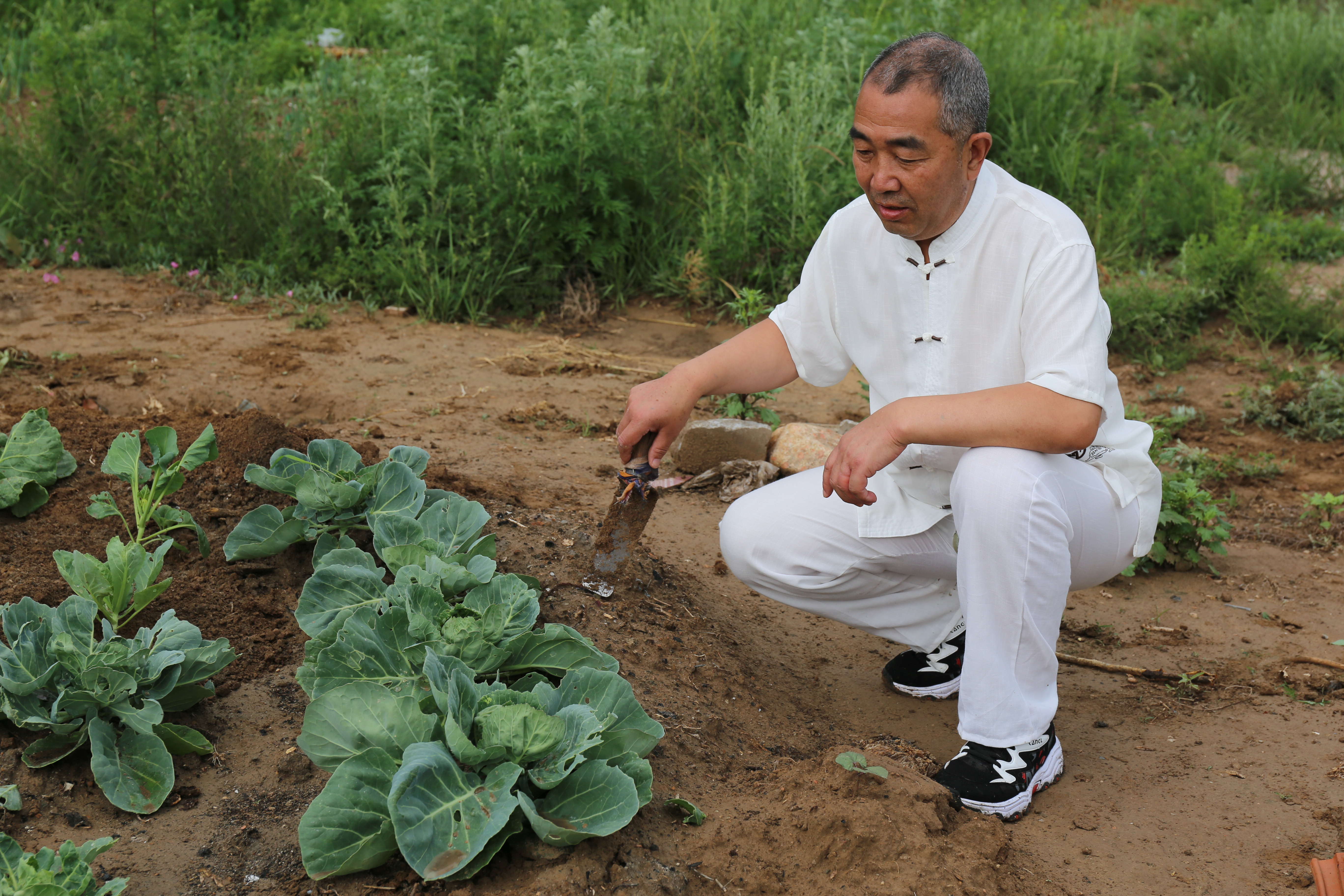 栾祥平出席活动,中医名家针灸治疗视频
