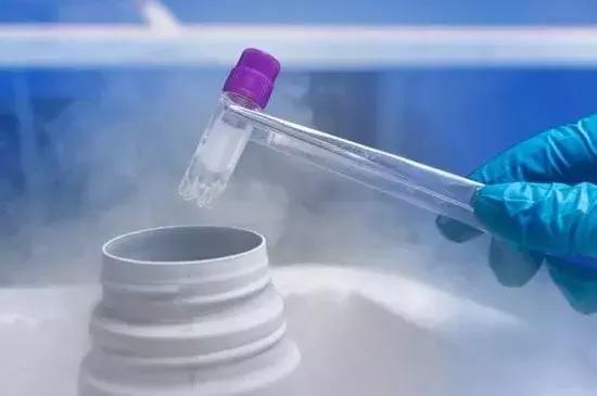 林志玲生孩子吗,林志玲生孩子是顺产吗