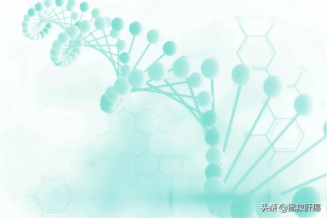 作为肝癌圈内一员，这些“黑话”你不懂？劝你耗子尾汁