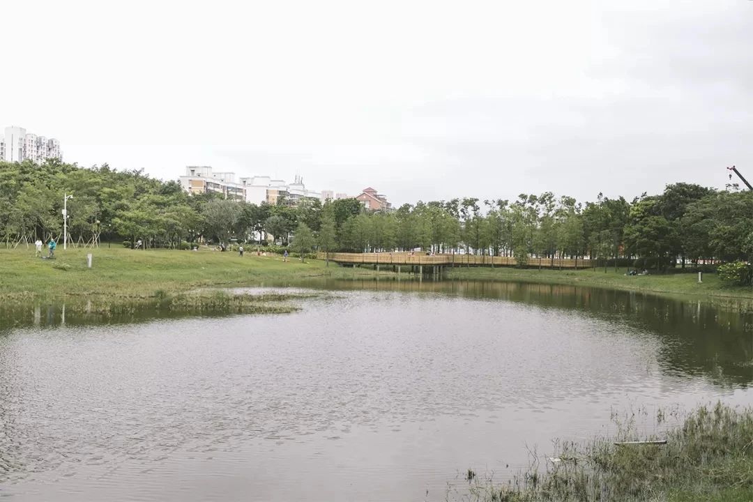 去深圳免费游玩的10个地方,深圳免费游玩景点推荐