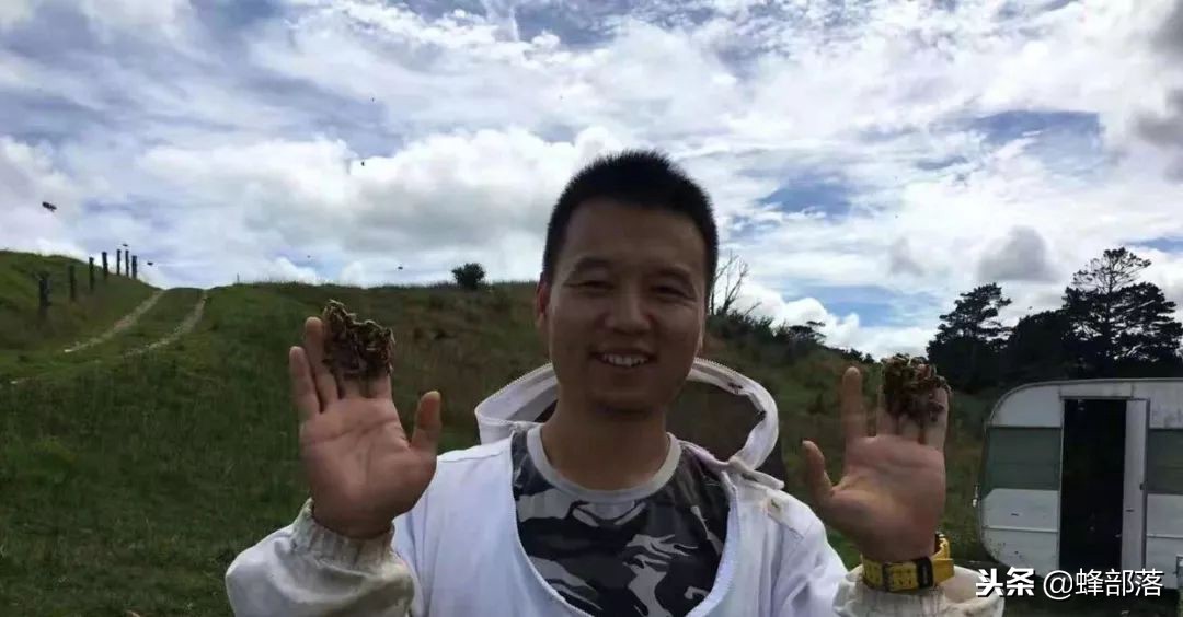 国内养蜂与国外养蜂的区别,中国蜂业与西方养蜂的区别