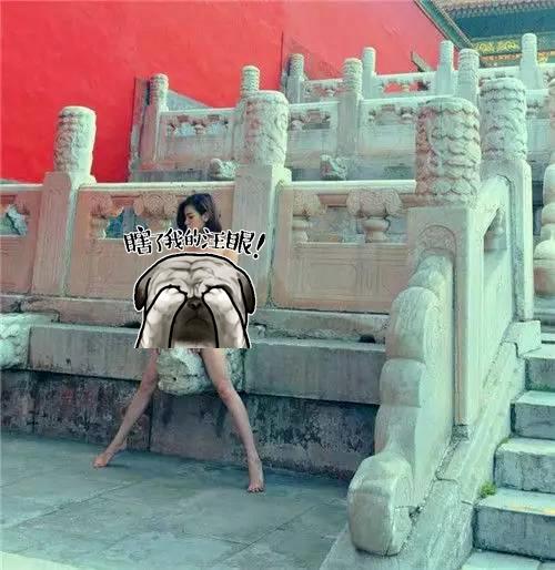 在这些地方拍裸照也配叫艺术？