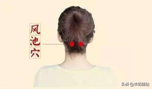 人体十大养生穴位，常按想生病都难