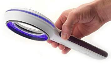 怀疑猫咪身上有虫怎么检查,怀疑猫咪有猫癣怎么办