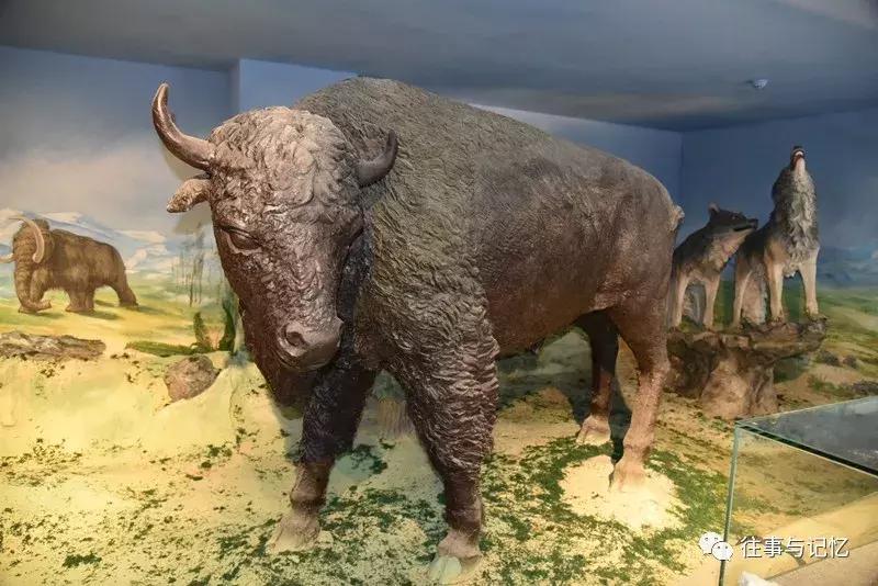 通辽霍林郭勒市区,通辽霍林郭勒一日游