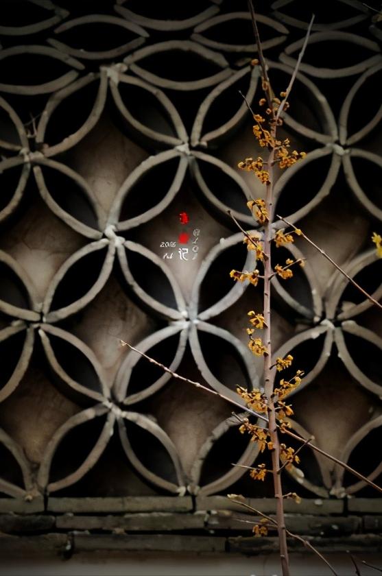 江苏淮安属于长三角区域吗,江苏淮安包括哪些区