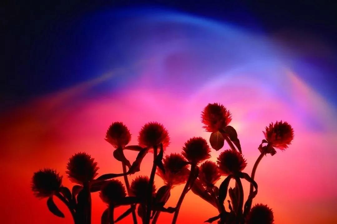 日本老奶奶碰瓷,酗酒飙车碰瓷爆红网络