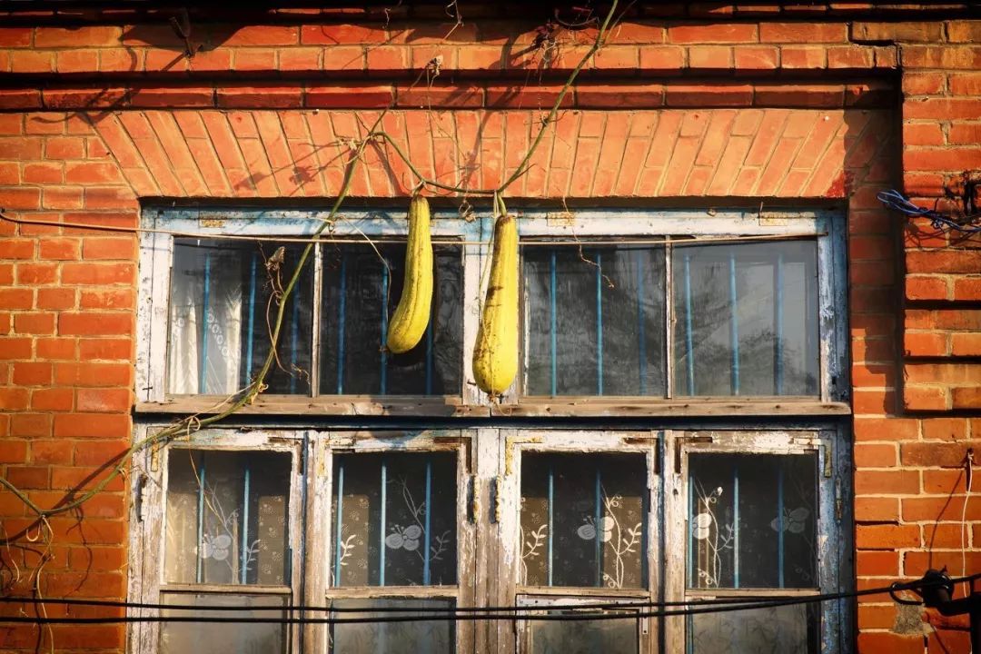 去大连海边玩一趟要多少钱,去海滨城玩有什么攻略