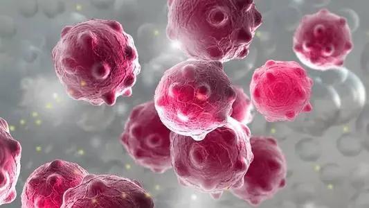 肿瘤免疫治疗费用,肿瘤免疫治疗是什么意思