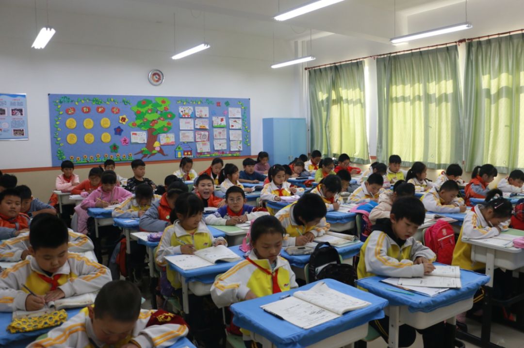 秦皇岛市海港区新建小学,海港区小学新校区