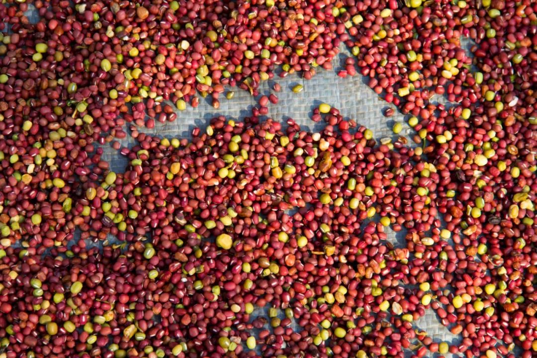 寻访秦岭龙潭村，背篓都是背在背上，这位大婶为何将其挎在腰间？