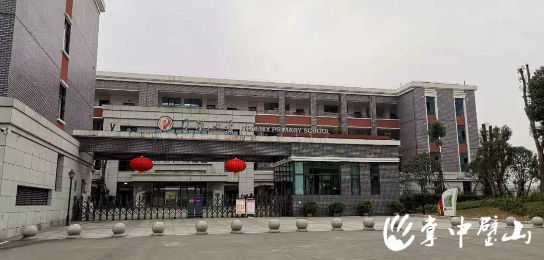 璧山东林智慧学校地址,璧山东林智慧学校是公立学校吗