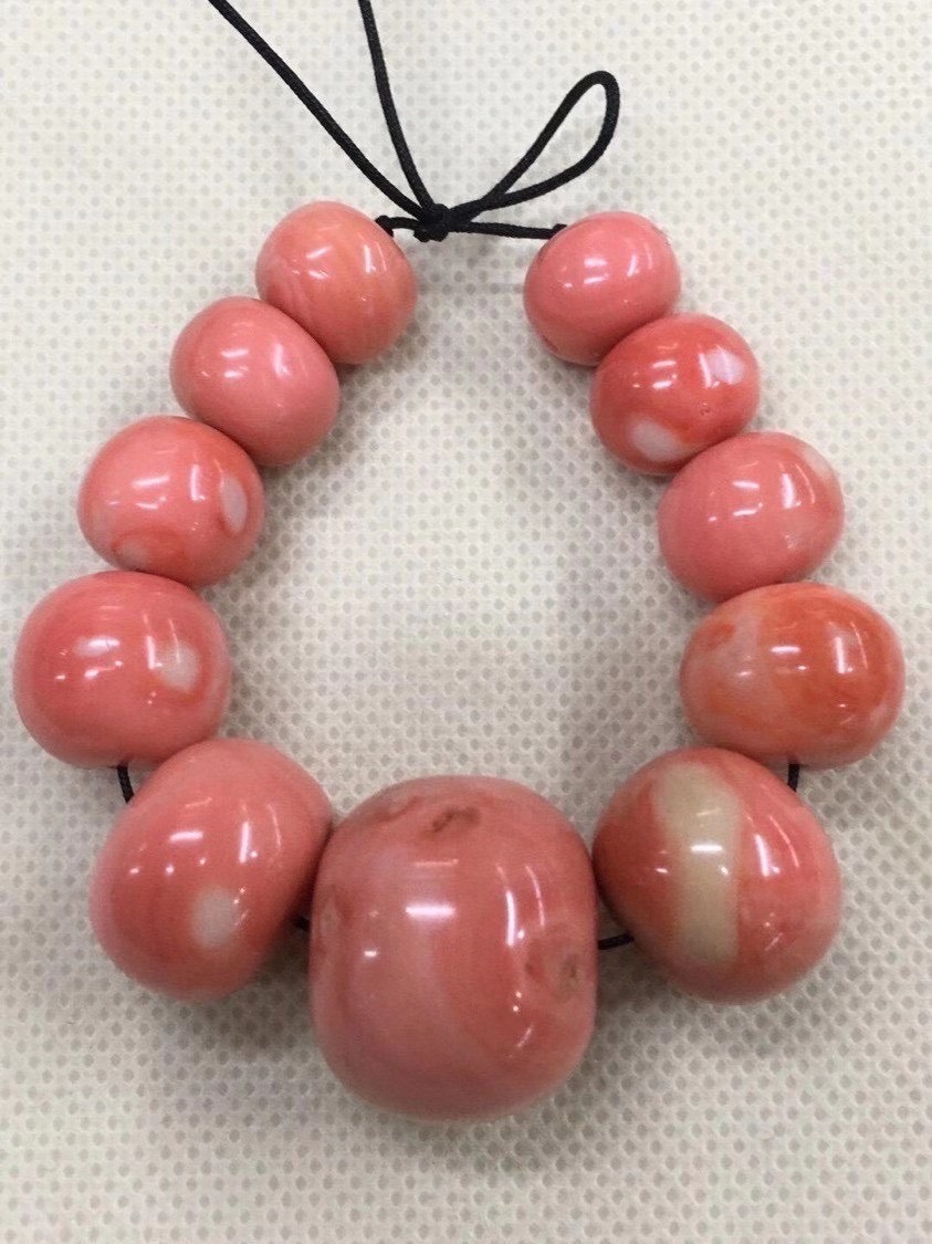 红珊瑚怎么辨别图片,红珊瑚怎么区分品种