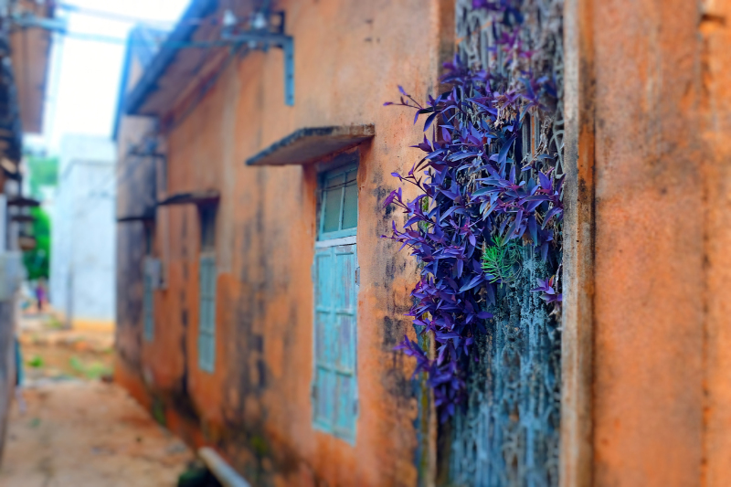 广东湛江旅游攻略赶海,湛江海边旅游攻略推荐地方