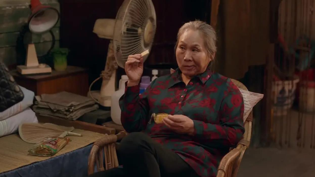 安家后续深度解析,安家透露出的问题