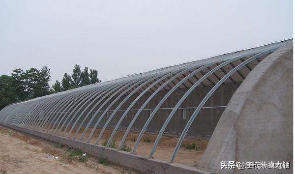 江苏番茄种植温室大棚前景,国内温室大棚发展现状及趋势