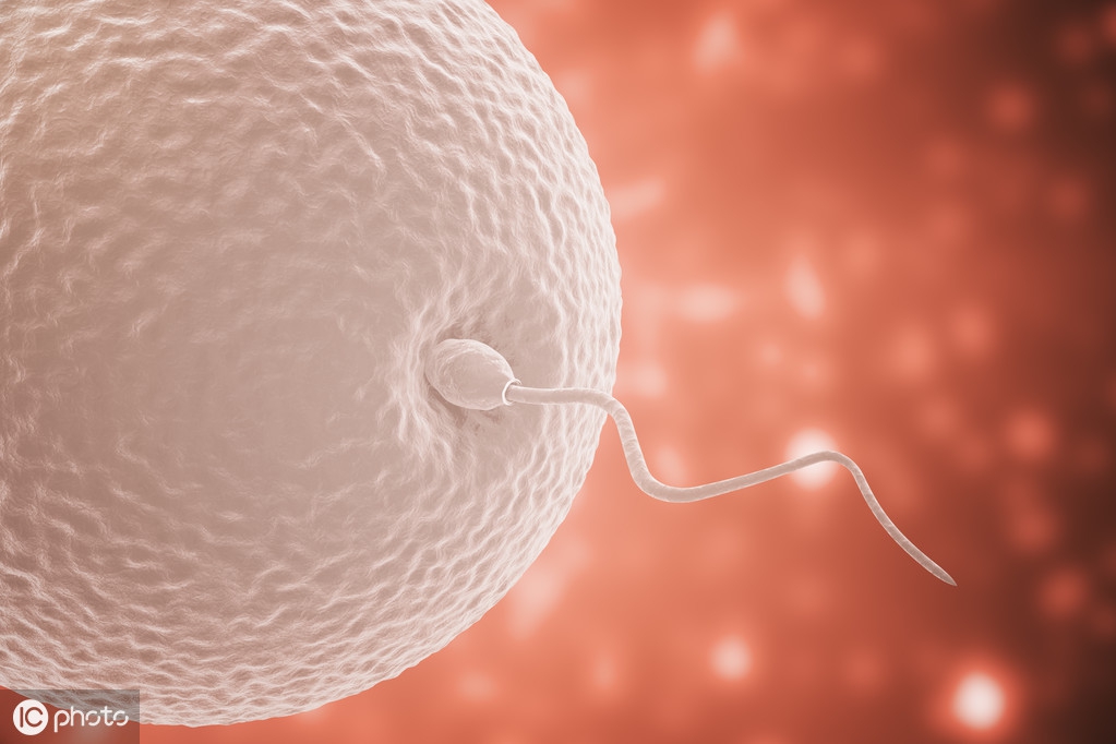 女人受孕需不需要臀部垫高,头垫高臀部有助于提高受孕的几率