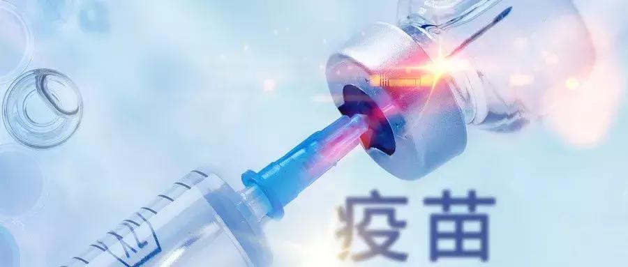 肿瘤免疫治疗的概念和流程,肿瘤免疫的4种状态