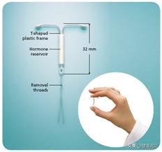 年轻女性容易得的重大疾病,子宫内膜癌饮食注意什么
