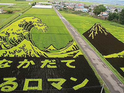日本农业现状及前景,不吹不黑浙江农林大学
