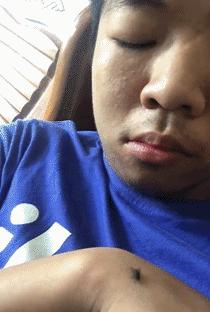 搞笑动图gif图片,搞笑动图gif图片合集