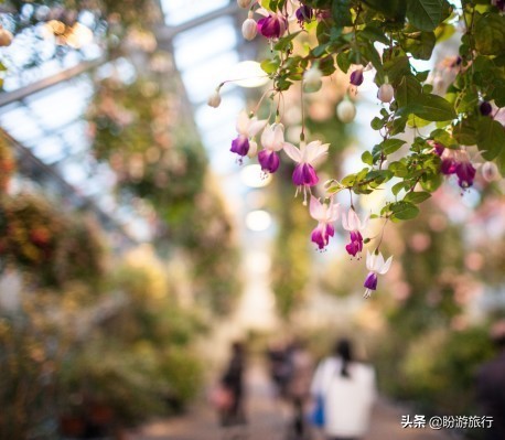 关西白滨自由行攻略,日本自由行攻略大阪温泉