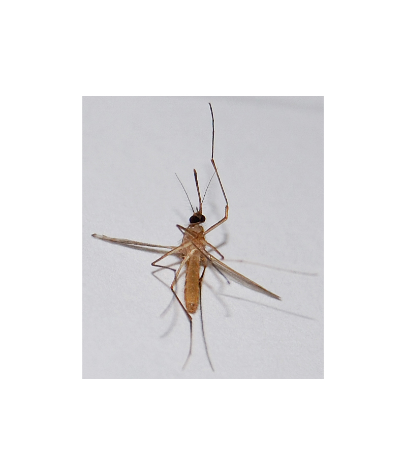 尼康d40机身,尼康第一部数码单反