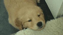 一直打嗝怎么办快速止嗝妙招,打嗝止不住偏方