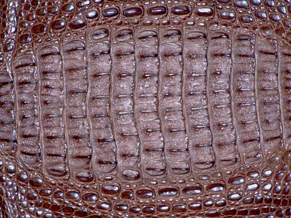 你真的了解石材吗,你真的了解凯伦吗